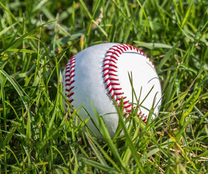 (2 Pcs) Soft Leather Sport Practice & Trainning Base Ball BaseBall Softball New (1167)