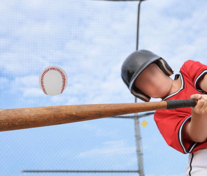 (2 Pcs) Soft Leather Sport Practice & Trainning Base Ball BaseBall Softball New (1167)